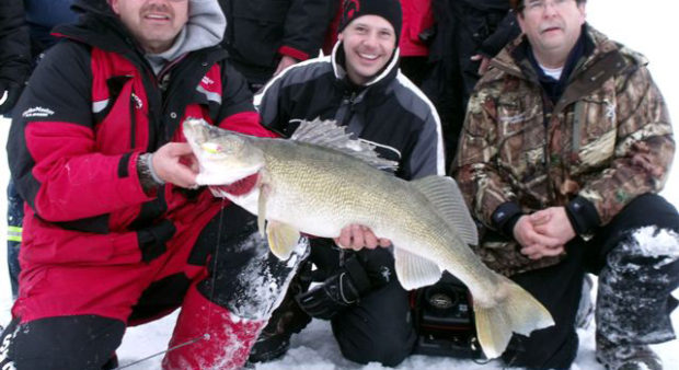 world record walleye - men holding a very large walleye