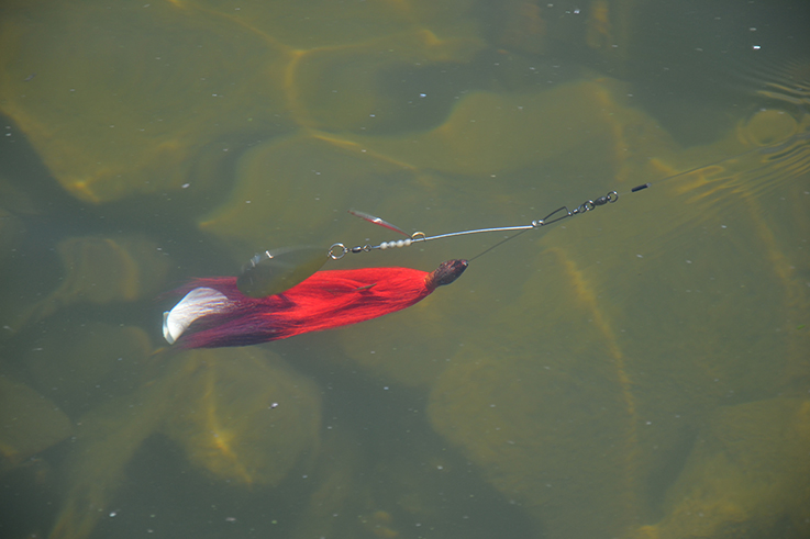 Speed spinning for muskie - Ontario OUT of DOORS