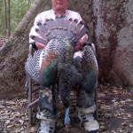 Barrie Welch of Keene, after already completing his Grand Slam in Turkey, finally after at least 5 years, managed to harvest this magnificent Oscillated Turkey, completing a long sought after "World Slam", in Campeche, Mexico last month. The bird had 1" spurs but the species do not have beards. Weigh was 10.5 lbs.