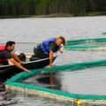 experimental lakes area - people in a boat working