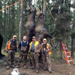 Mark Piperno and his group hunted in WMU 1C for a week and dropped this 38-inch bull on the second day. Mark got the bigger cow on the fourth day. L to R: Mark, Matt, Andrew, and Ivan.