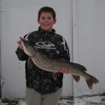 While ice fishing on Lake Simcoe on Jan. 17, 2014, Matt Quick, 12, got this Northern pike, 9.5-pounds, 35-inches in length and 14-inches in girth. He used a micro tube while fishing for perch.