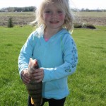 Rayah, 2 ½ landed this 12-inch perch with the help of her Dad on Mothers Day while fishing at Point Abino on Lake Erie.
