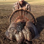 Rob Bezaire harvested this massive tom on a hunt with his best friend. It was 25-pounds with 1 ¼-inch spurs and a 10 ½-inch beard. NWTF has scored it at 71, putting it 10th in Ontario/Quebec.