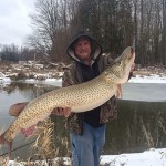 Curtis Fruin, 26, pulled this muskie from the Saugeen River Dec. 6.