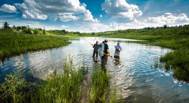 citizen science - three researchers in a lake