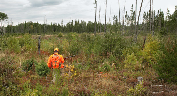 northern style - NorthGrouse