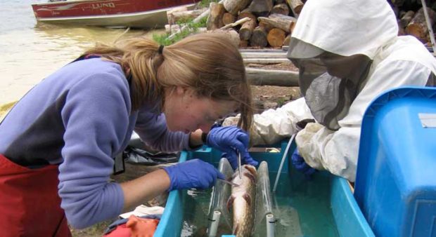 funding - women dissecting a fish