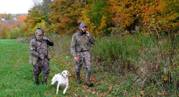 dogging - Two guys hunting with a dog