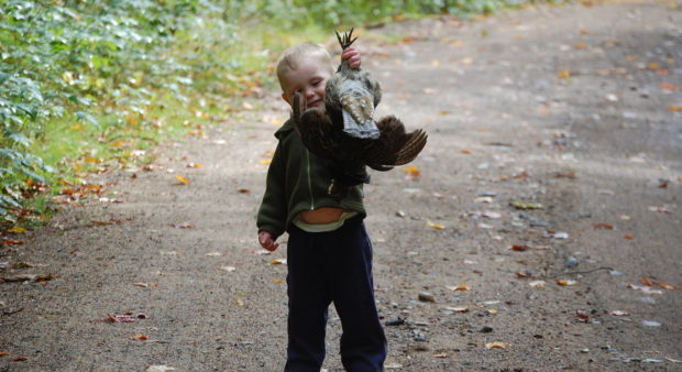 Liam - a toddler holding a harvested bird