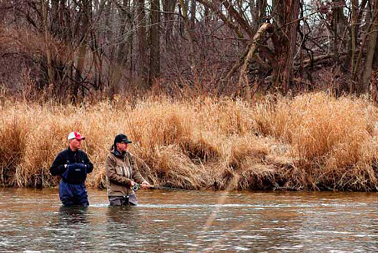 Ontario West Coat Steelhead