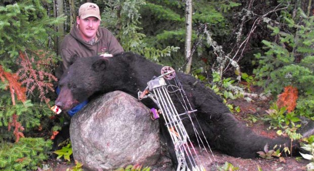 record bear - BigBearNews