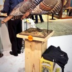 New turkey decoys from HS Strut, Jake Snood and Suzie Snood.