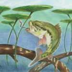 kids' fish art contest - Artwork by Catherine Chen from Toronto, overall winner and winner for the grade 7 to 9 category.