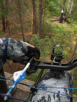 hunt bear - man with bow in treestand