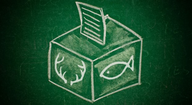 political power - ballot box