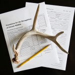 Antlers on paper