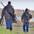 waterfowl