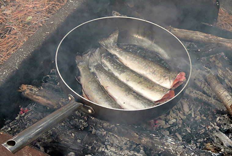 Camp Cooking Fish