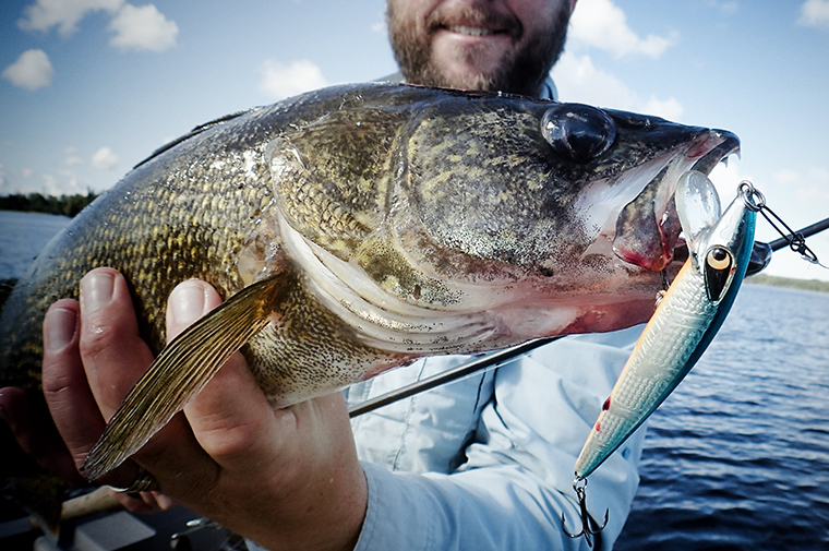 Jerkbait Walleye Fishing From Shore 