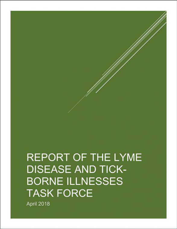 lyme disease report