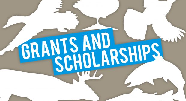 Fish and Wildlife Grants and Scholarships