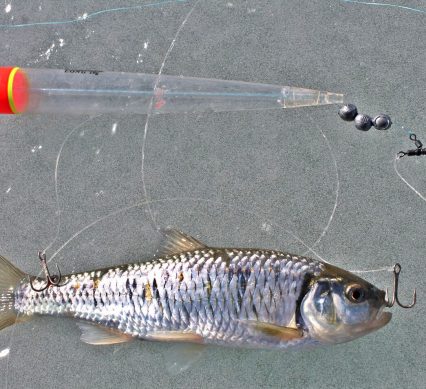 Bobber down