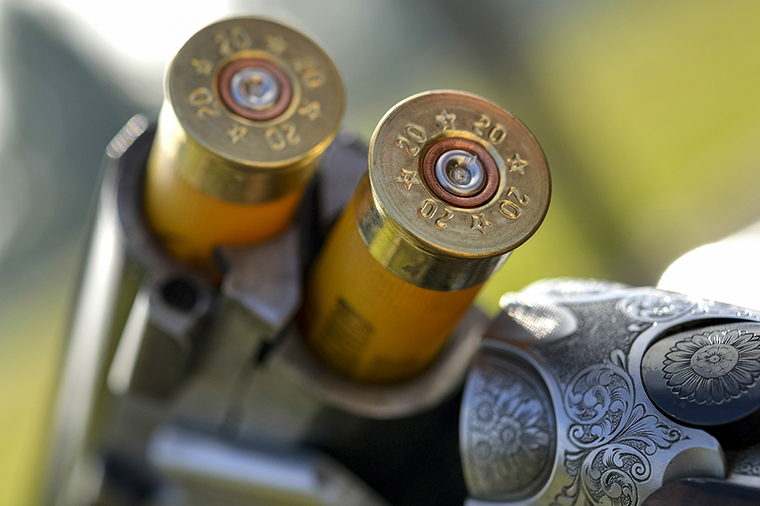 A close-up of a gun barrel with two bullet cartridges