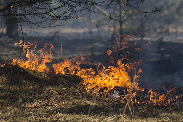 Fewer wildfires in Ontario