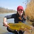 Spring Catfish