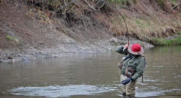 angler fishing