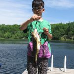 Noah Kim of Kingston celebrated his eight birthday by landing and releasing this nice largemouth and outfishing his grandpa (again) on Sharbot Lake.