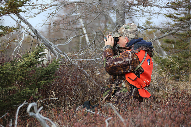 Hunter peering through binoculars