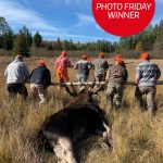 Congratulations to our winner for December 13, 2019, Shawn Casey of Minden! He submitted this photo after Minden-area Wilderness Hunt Club harvested a 58-inch bull.