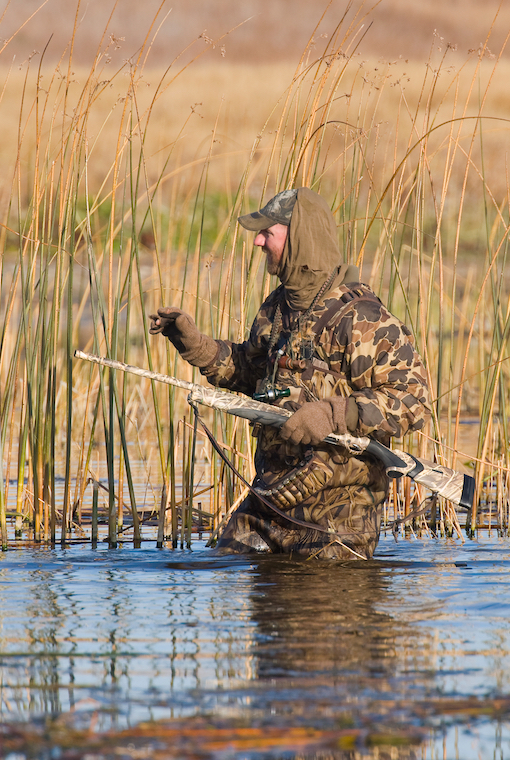 More waterfowl changes as a duck hunter wades through water, gleefully, in camouflage. 