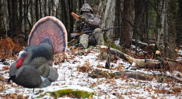 a lone hunter sits on a snow-speckled forest floor, regarding his turkey decoy, and calculating