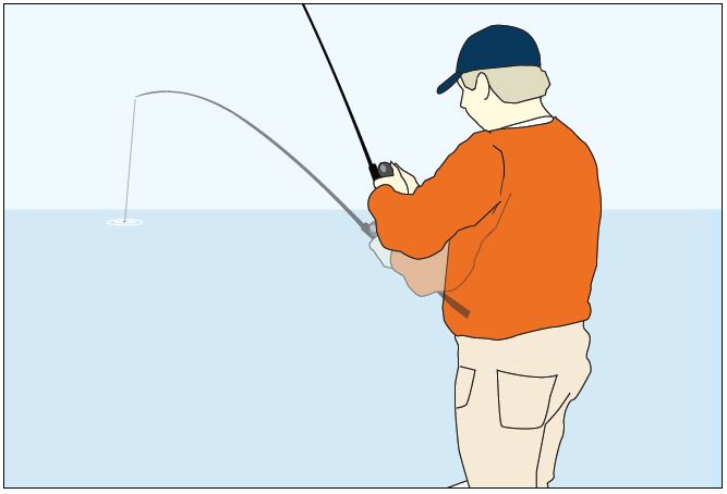 Rod / Reel For Weightless Fluke Fishing - Fishing Rods, Reels, Line, and  Knots - Bass Fishing Forums