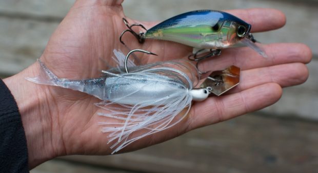 Bass Junkies Frog Pond: Flip in The Bird Top Water Bait Review