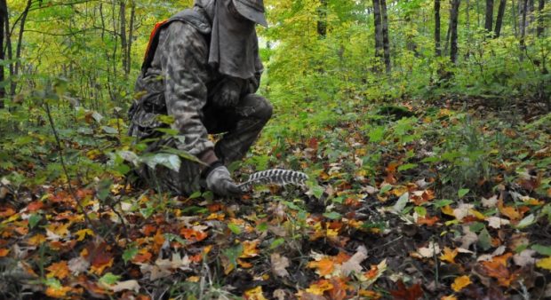 a turkey hunter plucking a feather from the forest floor