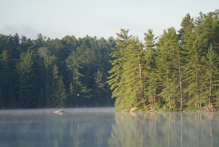 Magnetawan - Noganosh Loop