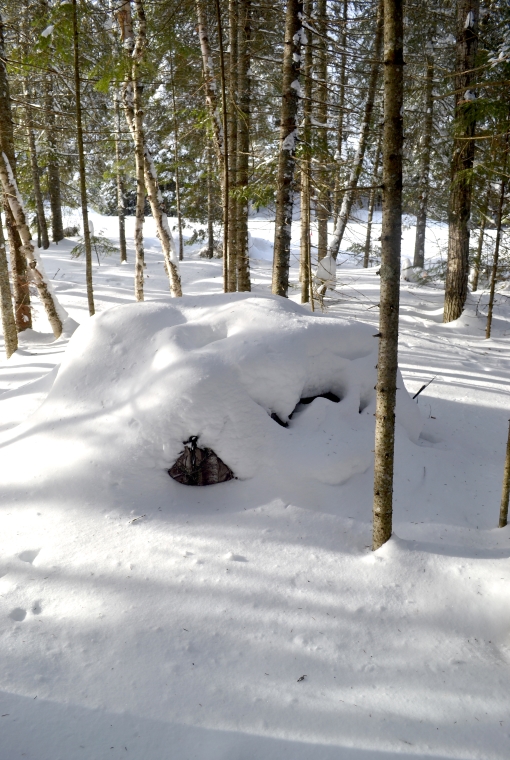 DIY snowproofing