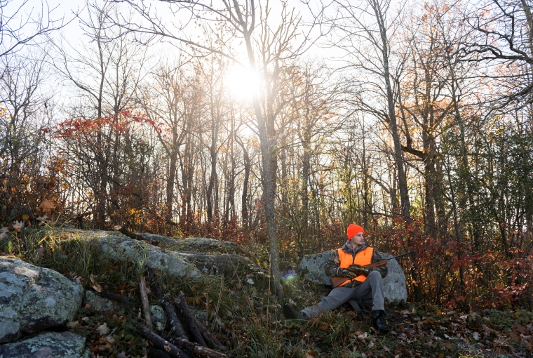 a hunter sets up against a mossy stone as the sun streams down