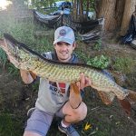 Tyler Lefley of Millbrook caught and carefully released this 48-inch, late-summer tiger muskie on the Otonabee River in Peterborough. He was using a Mepps bucktail spinner.