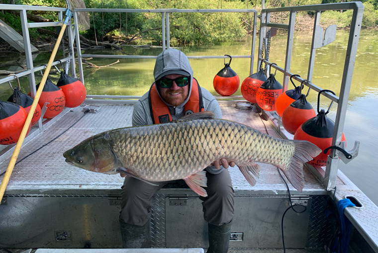 grass carp being held on a boat