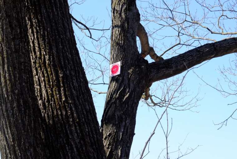 No trespassing sign on a tree