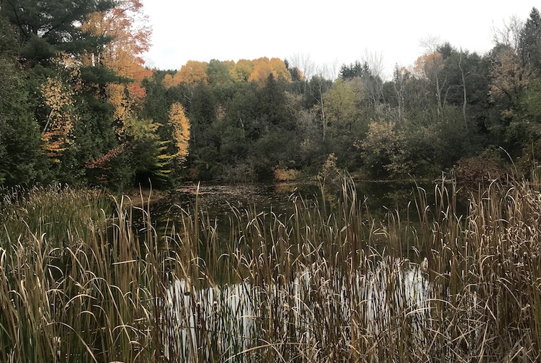 Enniskillen Conservation Area