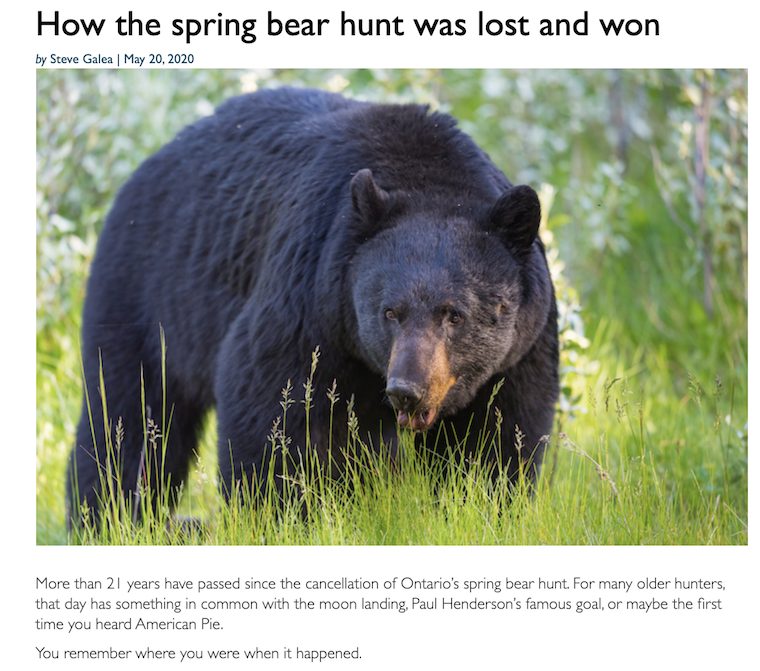 Spring Bear Hunt story