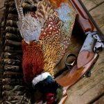 Mike Smith of Petrolia made memories of his own, harvesting his first pheasant using his grandad’s old Browning.