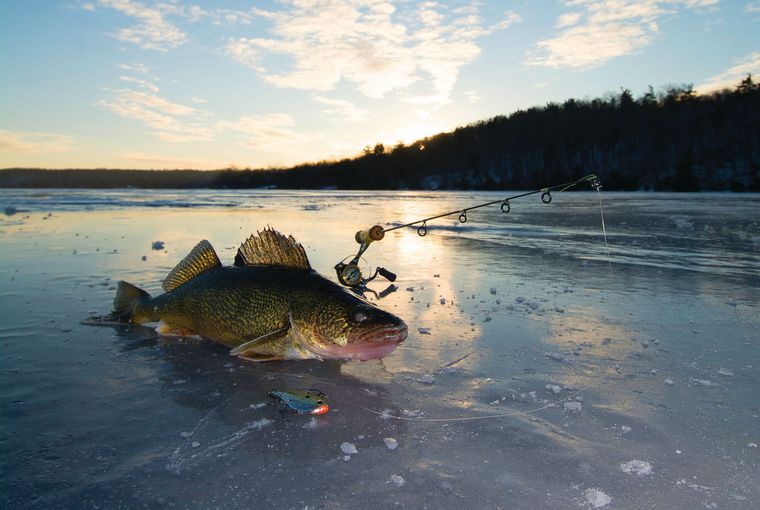 Ice Fishing Trout Mid Winter on Deep Water Structure 