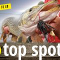 Sponsored Fishing Lodges
